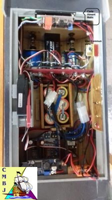 implantation