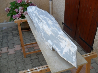 TCD Ouragan de Michel OLLAGNIER