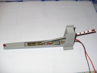 TCD Ouragan de Michel OLLAGNIER