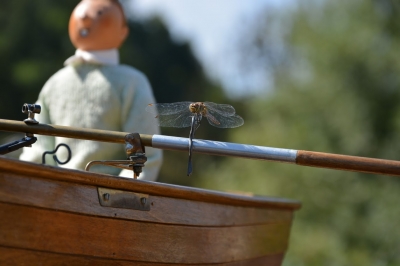 Photos Rosière 2018