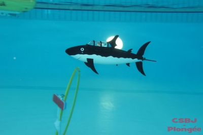 Sous-marins Bourgoin 2013