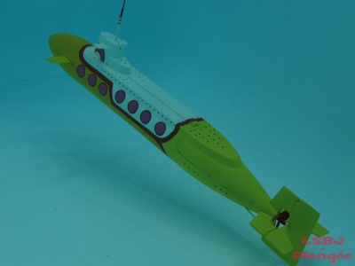 Sous-marins Bourgoin 2013