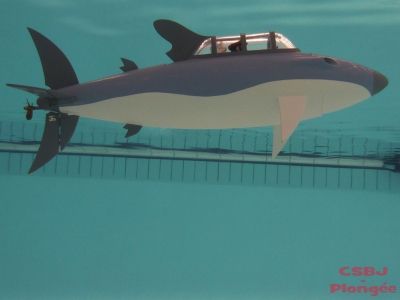 Sous-marins Bourgoin 2013