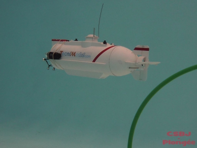 Sous-marins Bourgoin 2013