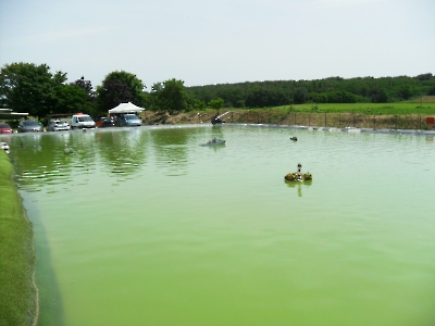 Navigation et Expos