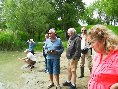 Navigation et Expos