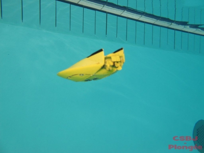 Sous-marins Bourgoin 2013