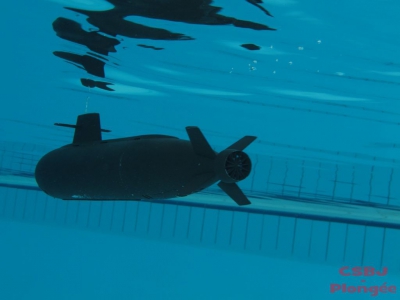 Sous-marins Bourgoin 2013